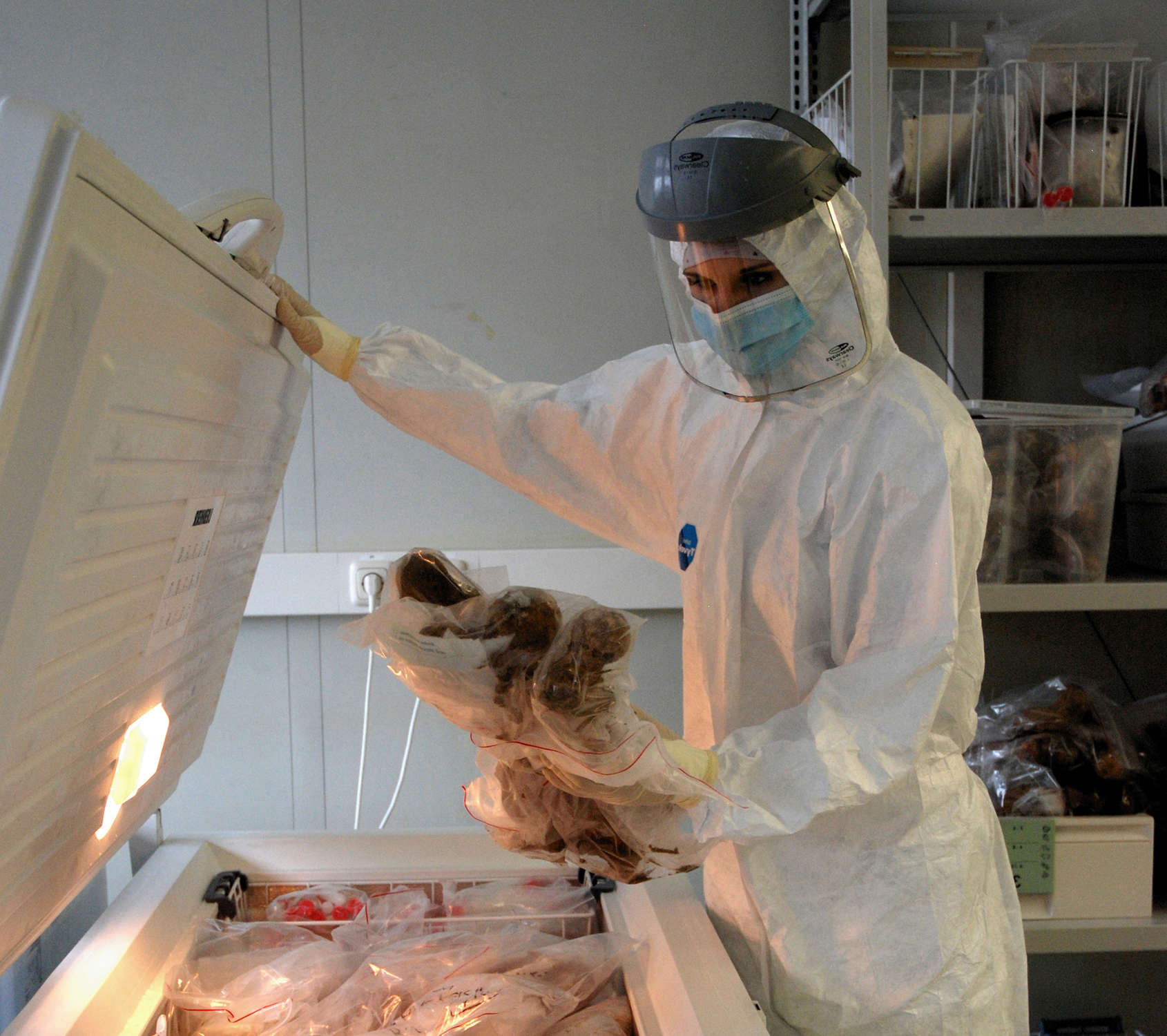 DNA analysis in the laboratories of Mainz University (© Joachim Burger)