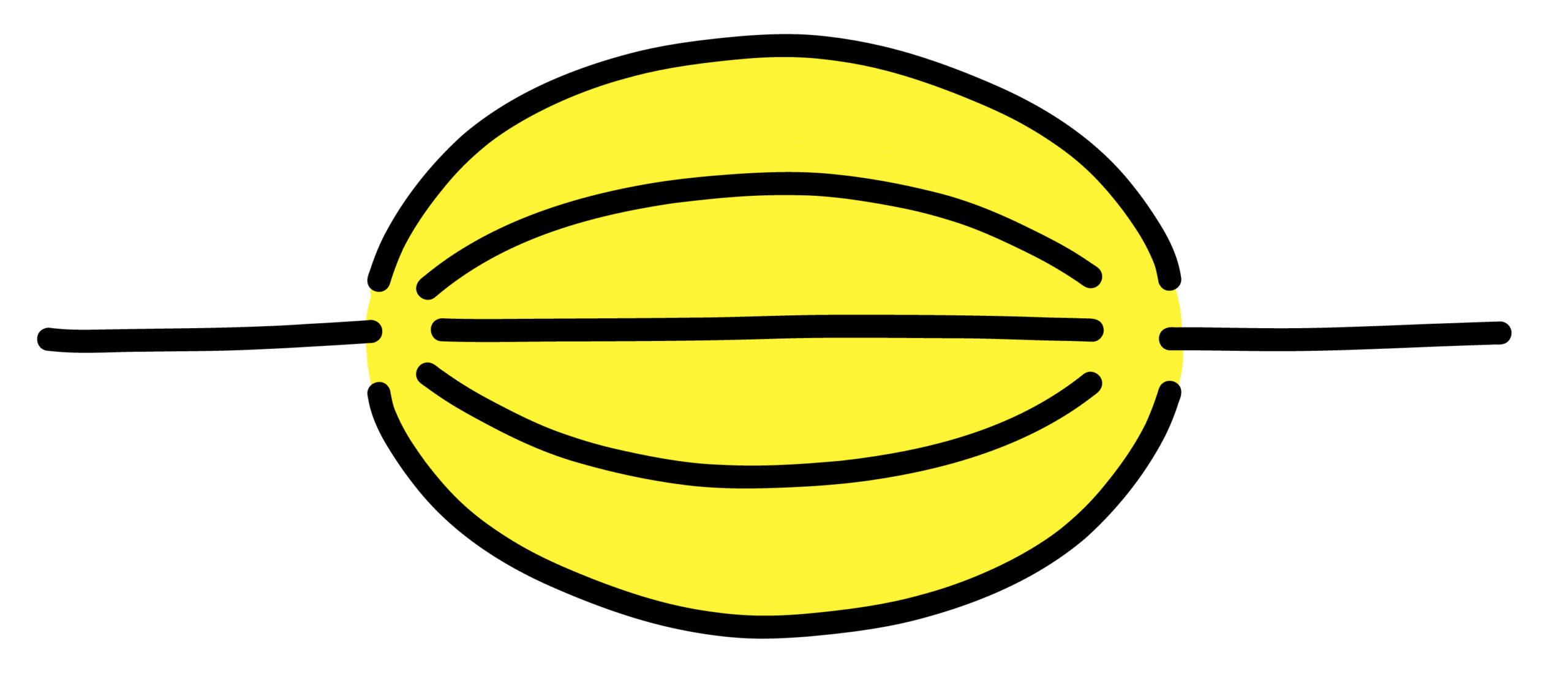 Feynman graph of a banana intergral (Ill./©: Weinzierl group)