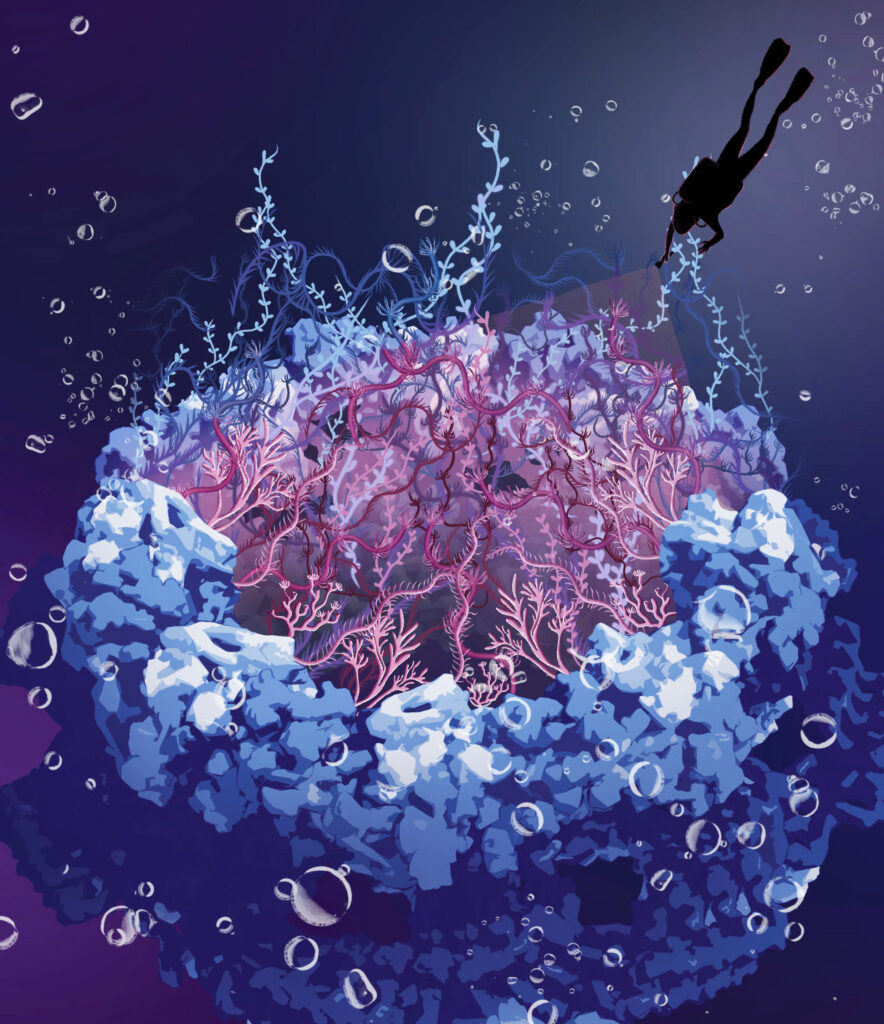 The image shows an artistic impression of the rocky scaffold structure of the nuclear pore complex filled with intrinsically disordered nucleoporins in the central channel depicted as seaweeds. In this work, the viewer dives into the dark hole of the nuclear pore complex to shine light on the disordered nucleoporins. (ill./©: Sara Mingu)