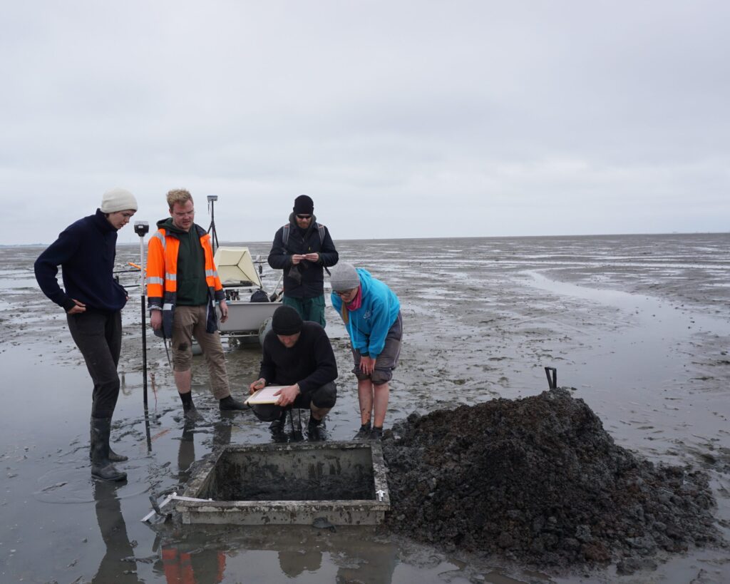 A special metal frame allows archaeological excavations of one square meter in the tidal flats. The finds are excavated and documented during low tide. (photo/©: Ruth Blankenfeldt)