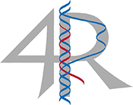 4R Research Training Group (link to website)