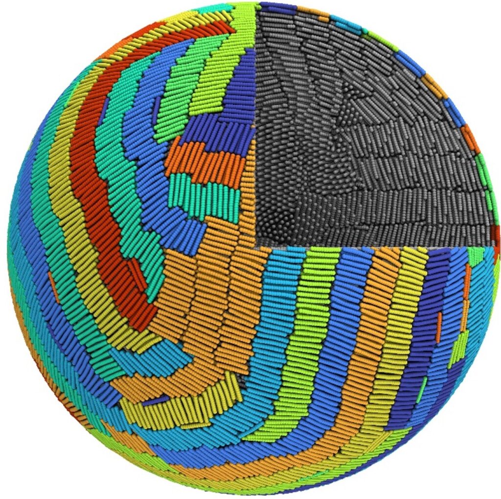 Simulation of the synthesis of a supraparticle made of nanorod-shaped particles. The assembly of the supraparticle was controlled in such a way that organized bundles of particles are formed internally, leading to increased regularity of arrangement of the rods on the surface. (ill.: Yashraj Manisch Wani)