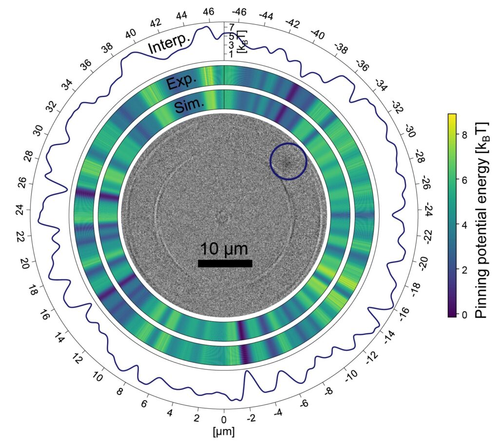 Magneto-optical microscope image of a skyrmion, which is the dark spot marked by a blue circle, in a ring of magnetic material. The spatially resolved pinning potential, which determines the special occurrence probability of the skyrmion, is shown. This is inhomogeneous due to material defects. The results from simulation and experiment as well as a high-resolution interpolation of the experimental results are shown around the microscopy image. (ill./©: Maarten A. Brems & Tobias Sparmann)