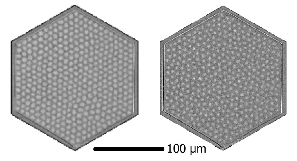 Snapshots of the skyrmion lattice during the melting: an ordered skyrmion lattice on the left while the lattice structure has vanished on the right. (photo/©: Raphael Gruber)