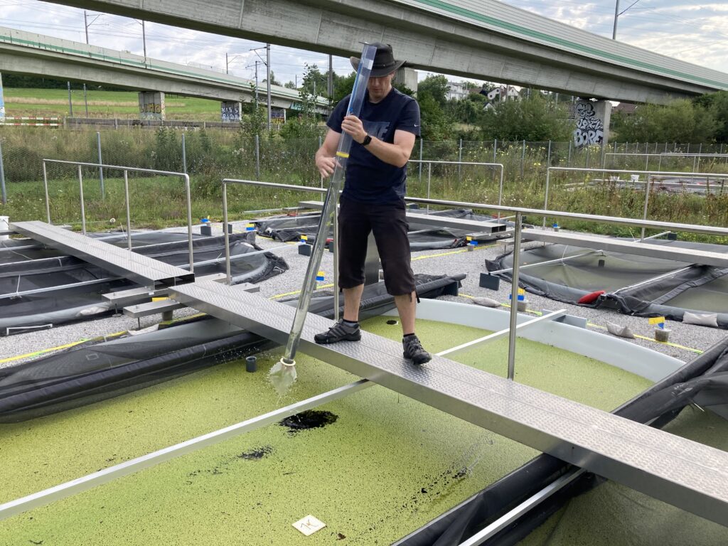 Dr. Martin Schäfer taking a water sample from one of the test ponds (photo/©: Christoph Walcher, Eawag)