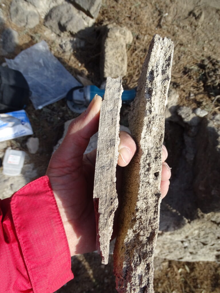 Carbonate samples from the so-called Republican Baths in Pompeii (photo/©: Cees Passchier)