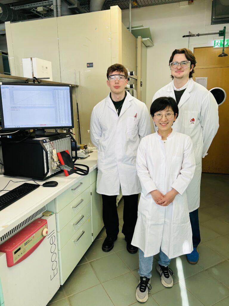Dr. Dandan Gao with her colleagues Christean Nickel (l.) and David Leander Troglauer (r.) (photo/©: Jennifer Christina Schmidt)