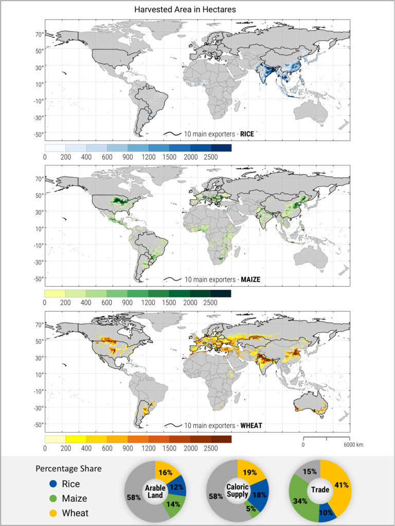 Main areas of rice/maize/wheat production with the borders of the 10 top exporting countries highlighted. The donut charts indicate the shares of the three major crops in the global arable land area, calorie supply and agricultural commodity trade. (ill./©: Trnka et al., Earth's Future 14 (2026), e2025EF006095, CC BY 4.0)