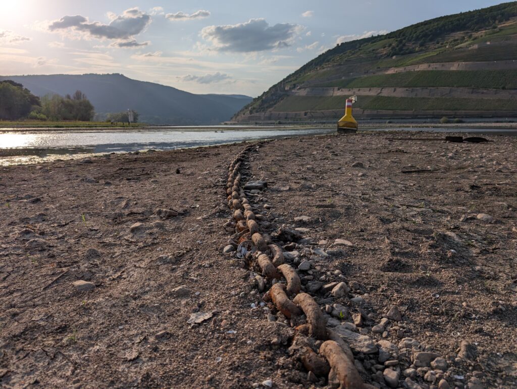 The photo shows the Nahe estuary with a view of the Rhine in the summer of 2026 (photo/©: Robert Reinecke)